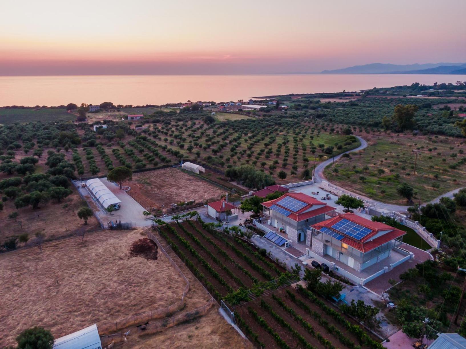 Terra Helios Suites & Studios Kyparissia Exterior photo